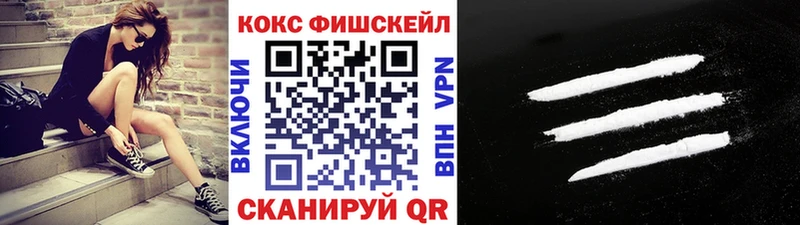 Купить закладки Морозовск COCAIN Fish Scale