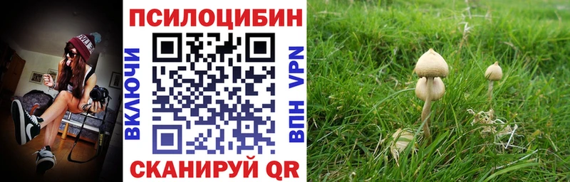 Галлюциногенные грибы Psilocybe  Купить закладки  Морозовск 